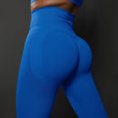 Sculpt Leggings – High Waist Seamless Fit